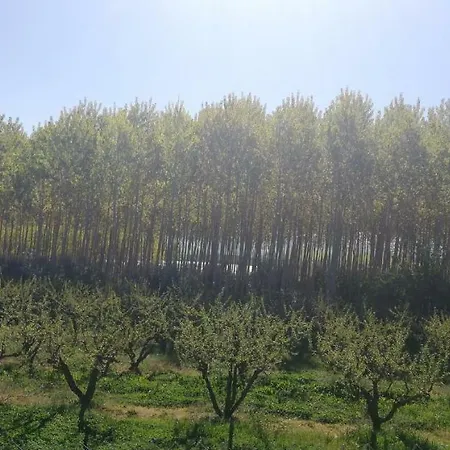 Сasa de vacaciones Cueva El Cortijo Gachas *