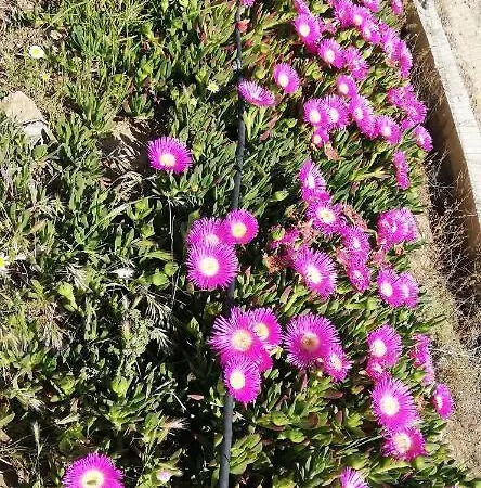 Cuevas Cortijo Gachas